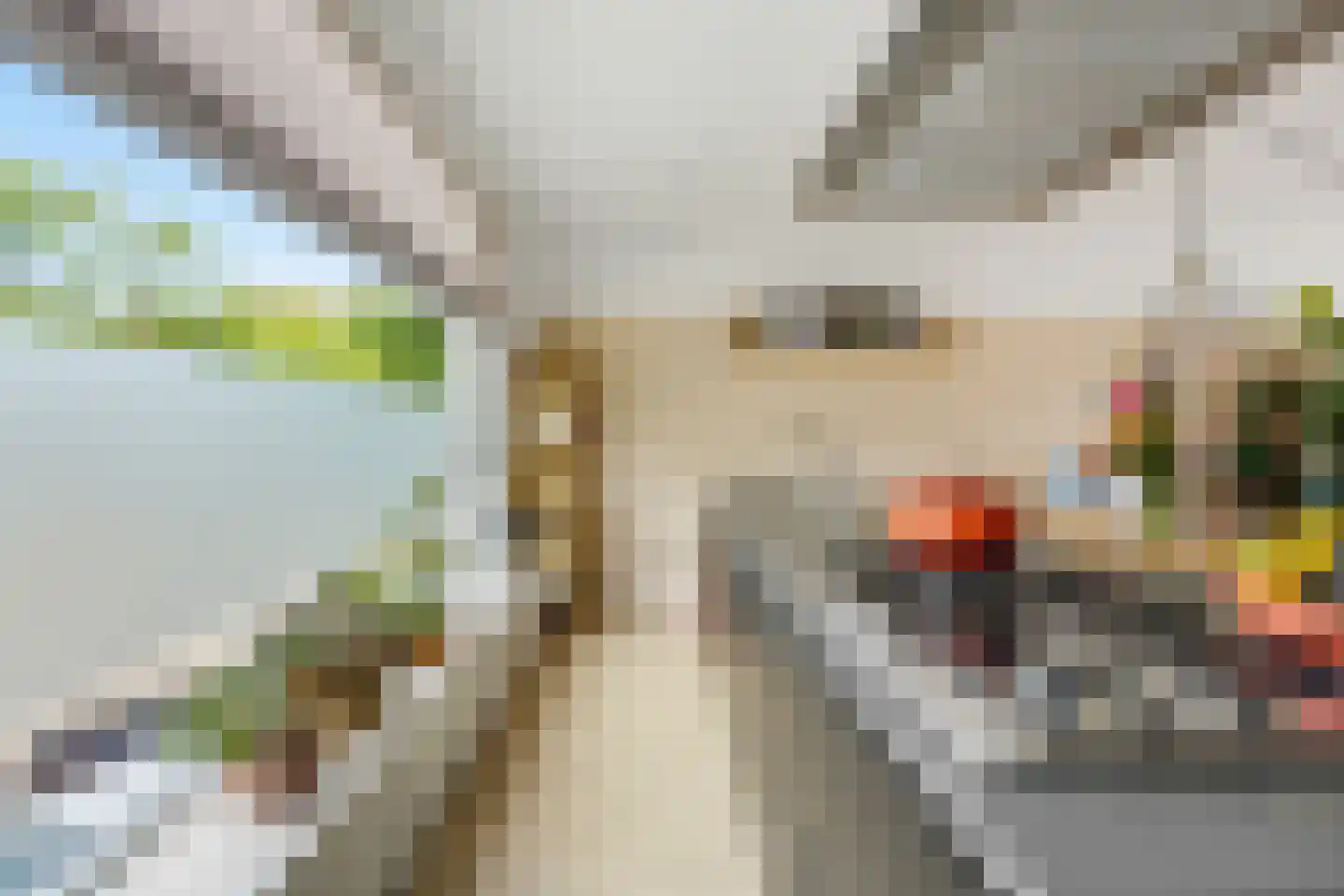 Ajaxstraat 21 Rotterdam thumbnail 14