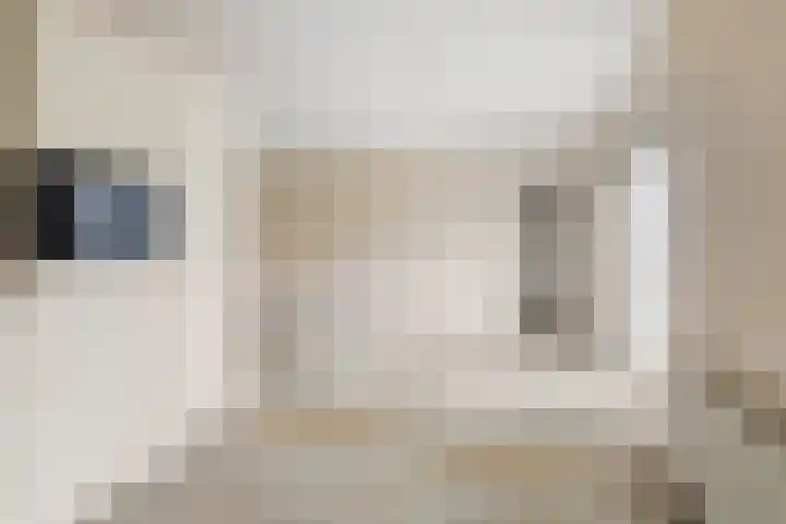 Akasiahôf 12 Stiens thumbnail 11