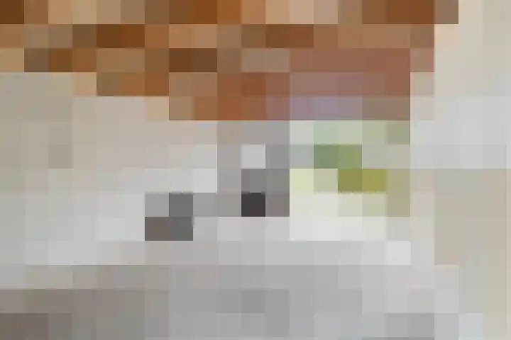 Akasiahôf 12 Stiens thumbnail 14
