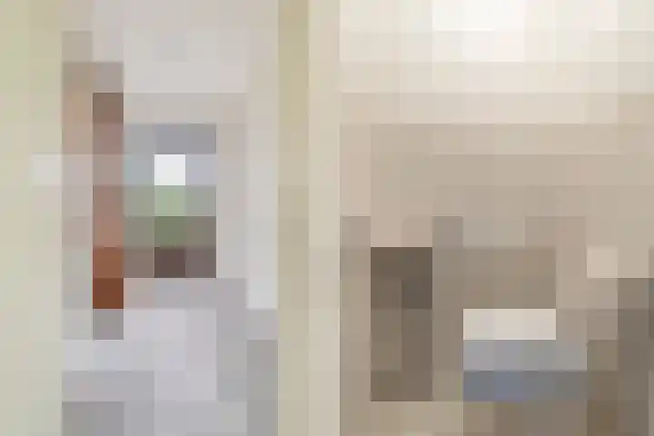 Akasiahôf 12 Stiens thumbnail 16