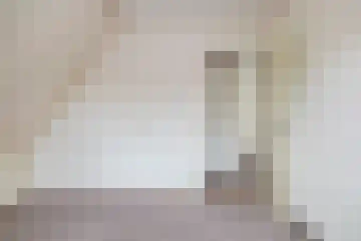 Akasiahôf 12 Stiens thumbnail 19