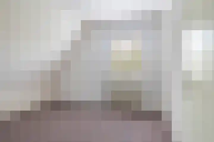 Akasiahôf 12 Stiens thumbnail 20