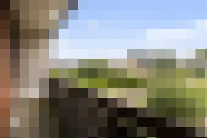 Akasiahôf 12 Stiens thumbnail 24