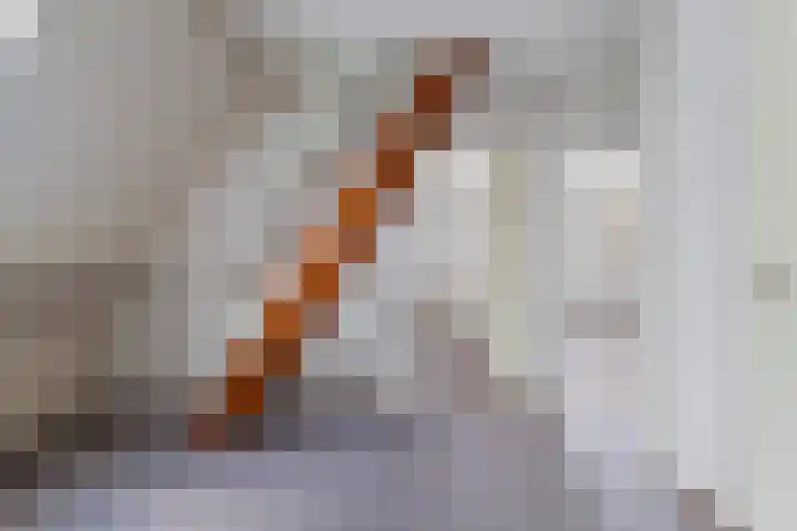 Akasiahôf 12 Stiens thumbnail 27