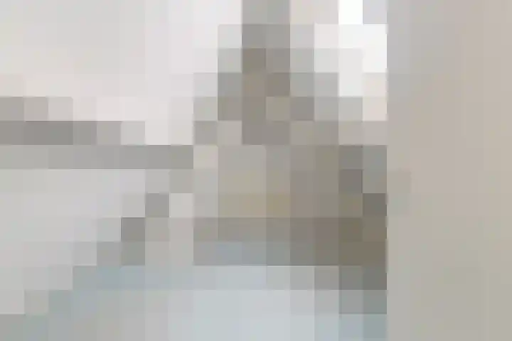 Akasiahôf 12 Stiens thumbnail 32