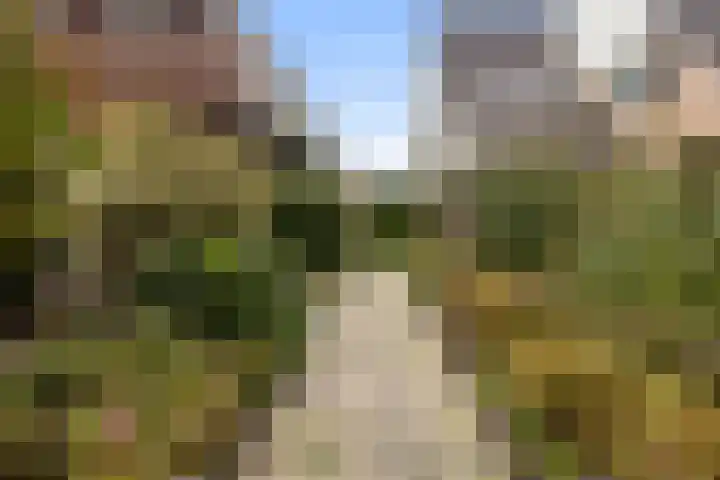 Akasiahôf 12 Stiens thumbnail 36