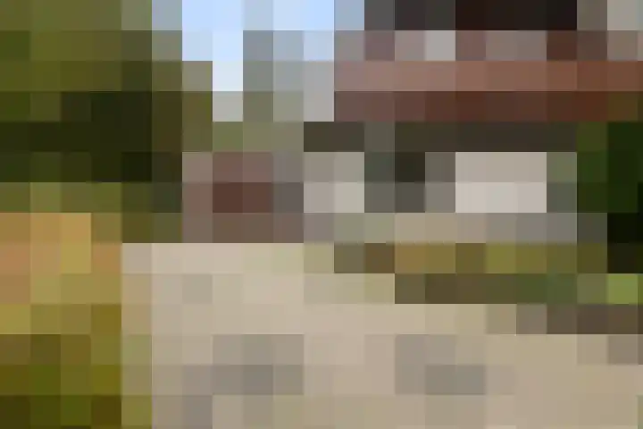Akasiahôf 12 Stiens thumbnail 37