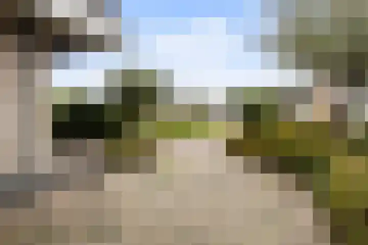 Akasiahôf 12 Stiens thumbnail 38