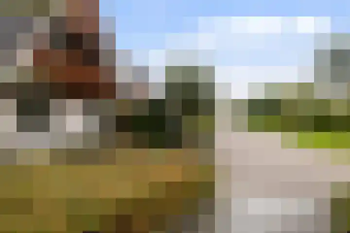 Akasiahôf 12 Stiens thumbnail 39