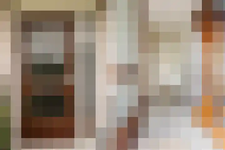 Akasiahôf 12 Stiens thumbnail 4