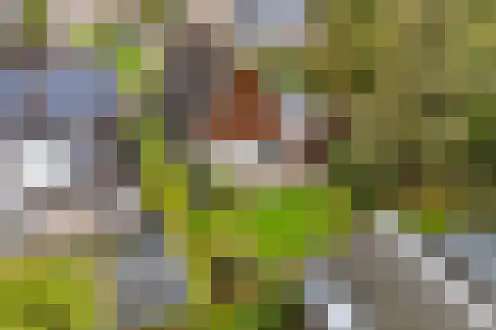 Akasiahôf 12 Stiens thumbnail 40