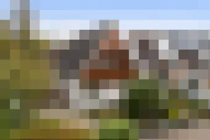 Akasiahôf 12 Stiens thumbnail 41