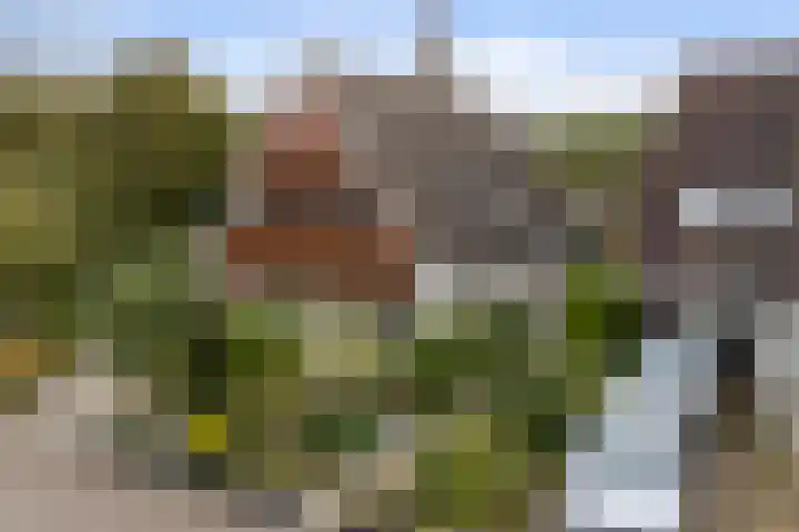 Akasiahôf 12 Stiens thumbnail 42