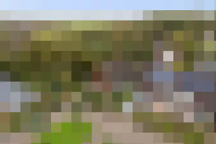 Akasiahôf 12 Stiens thumbnail 44