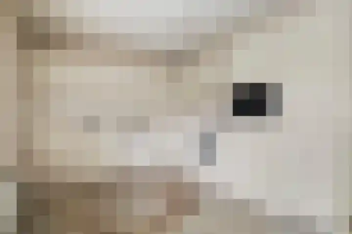 Akasiahôf 12 Stiens thumbnail 8