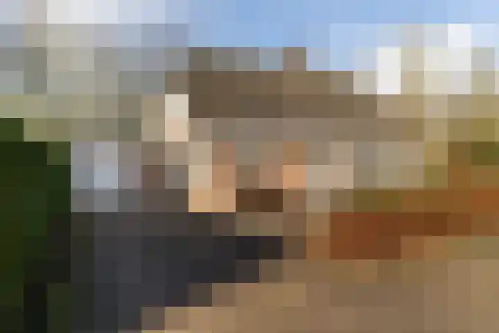 Akasiahôf 24 Stiens