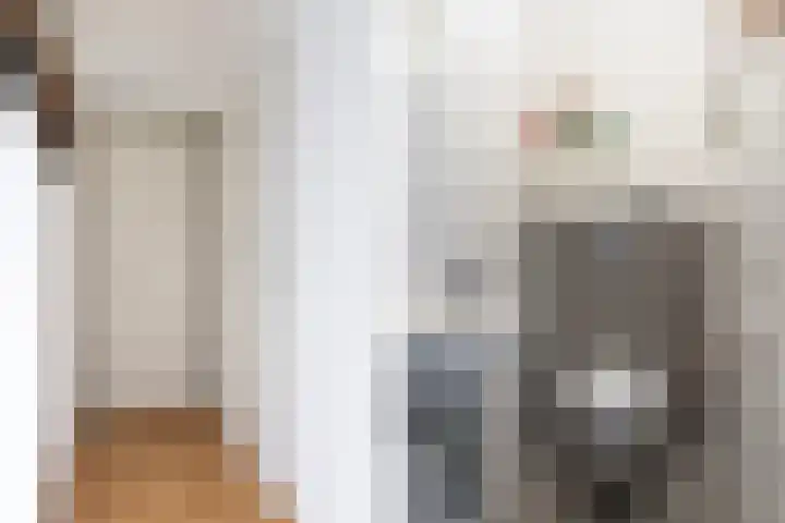 Akasiahôf 24 Stiens thumbnail 10