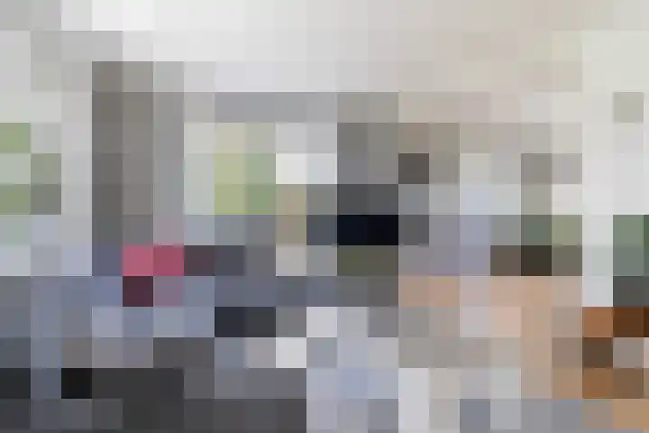 Akasiahôf 24 Stiens thumbnail 12