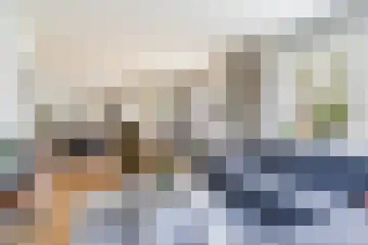 Akasiahôf 24 Stiens thumbnail 13