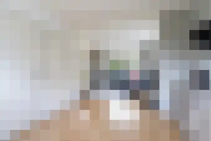 Akasiahôf 24 Stiens thumbnail 15