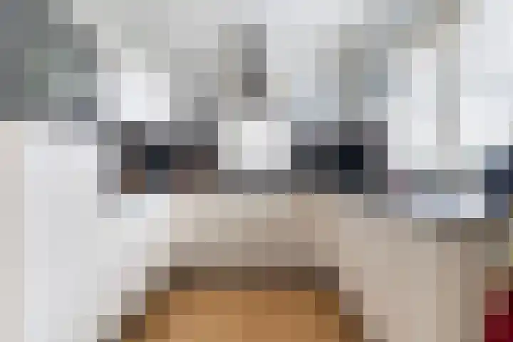 Akasiahôf 24 Stiens thumbnail 20