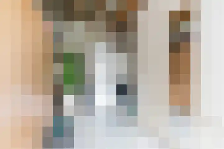 Akasiahôf 24 Stiens thumbnail 23