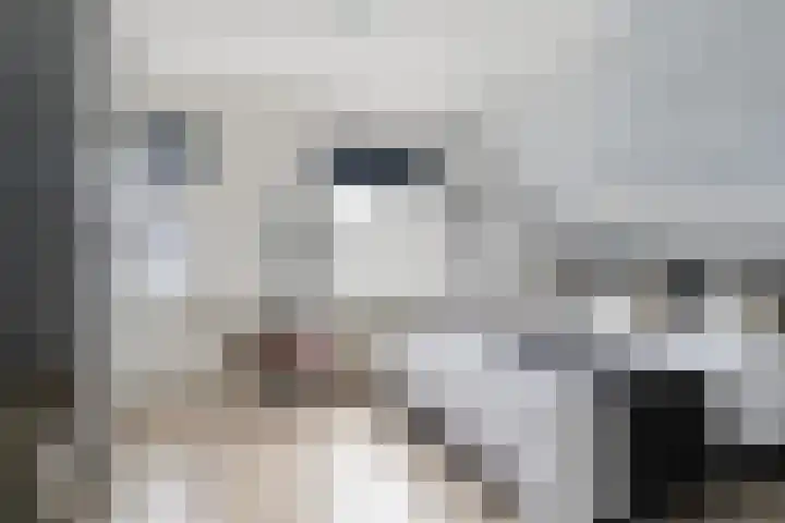 Akasiahôf 24 Stiens thumbnail 25