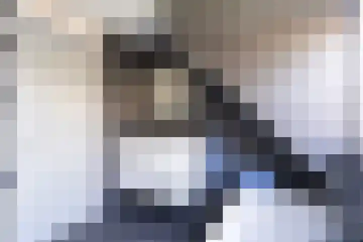 Akasiahôf 24 Stiens thumbnail 32