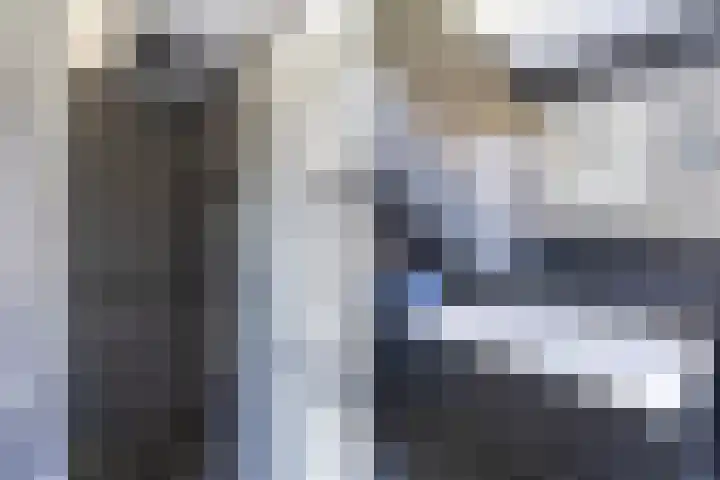 Akasiahôf 24 Stiens thumbnail 33