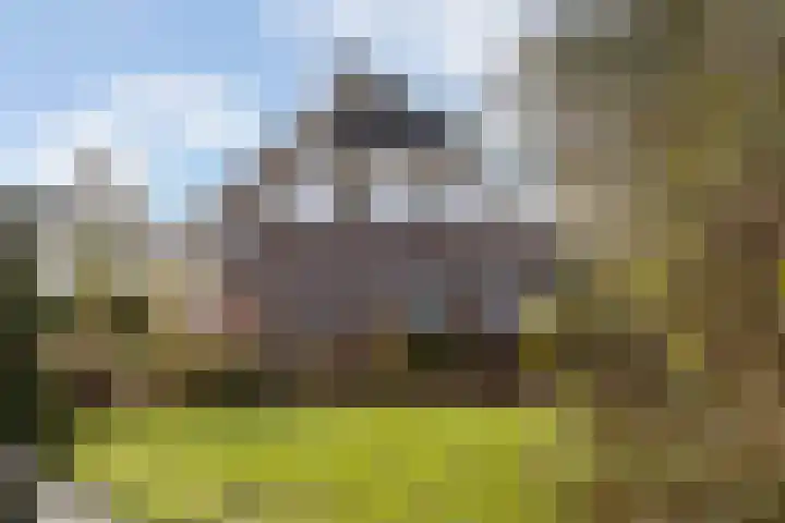 Akasiahôf 24 Stiens thumbnail 45