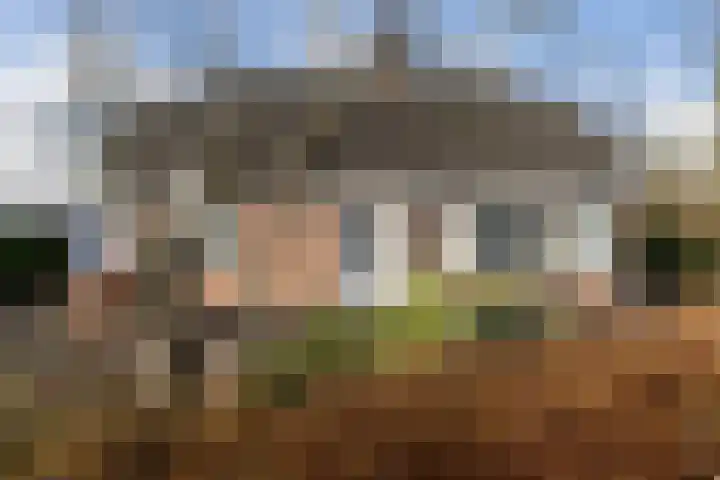 Akasiahôf 24 Stiens thumbnail 47