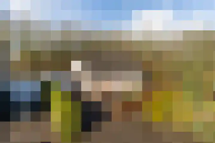 Akasiahôf 24 Stiens thumbnail 48