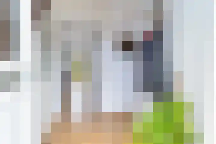 Akasiahôf 24 Stiens thumbnail 9