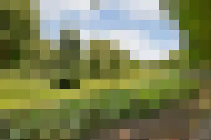 Akbarstraat 18 D Amsterdam thumbnail 35