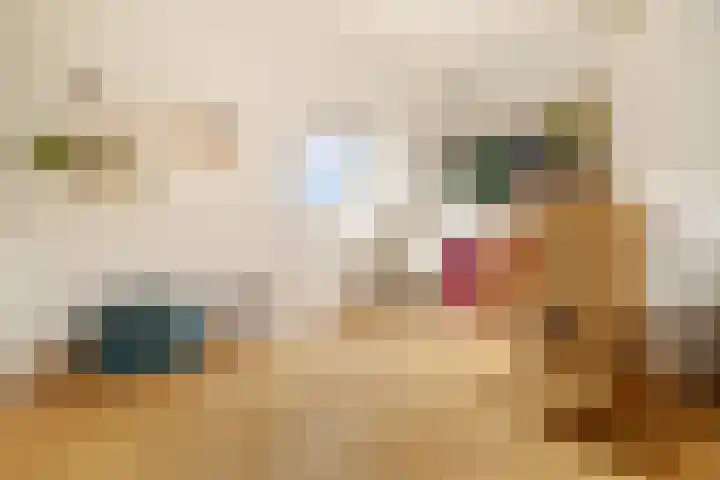 Akbarstraat 55 Amsterdam thumbnail 34