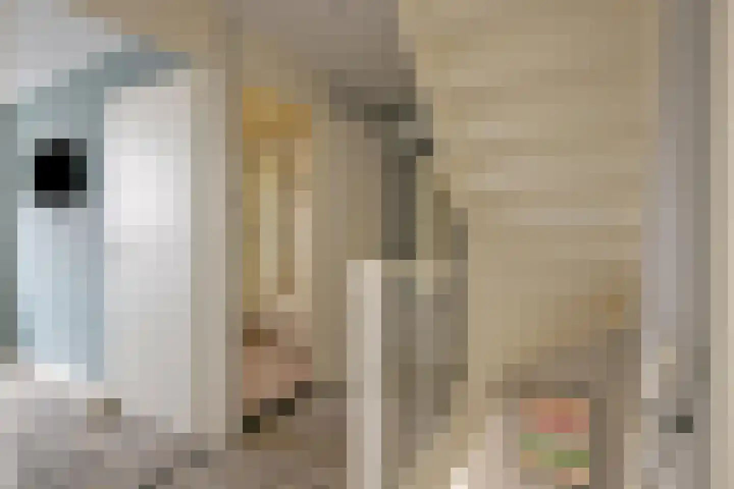 Akelei 113 Kampen thumbnail 14