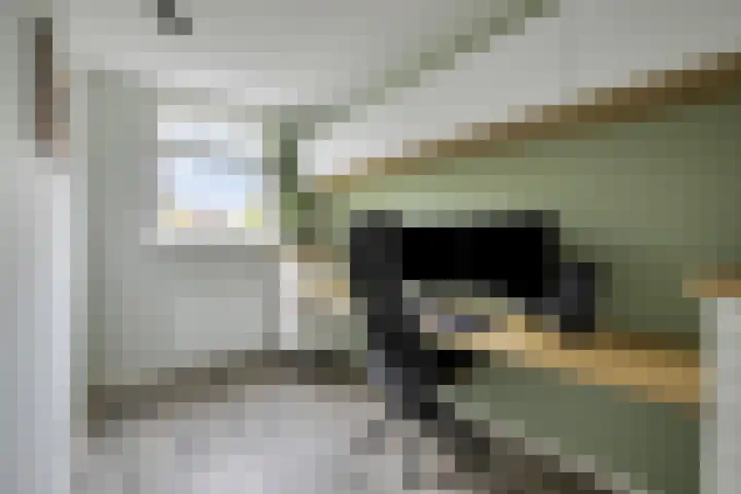 Akelei 113 Kampen thumbnail 18