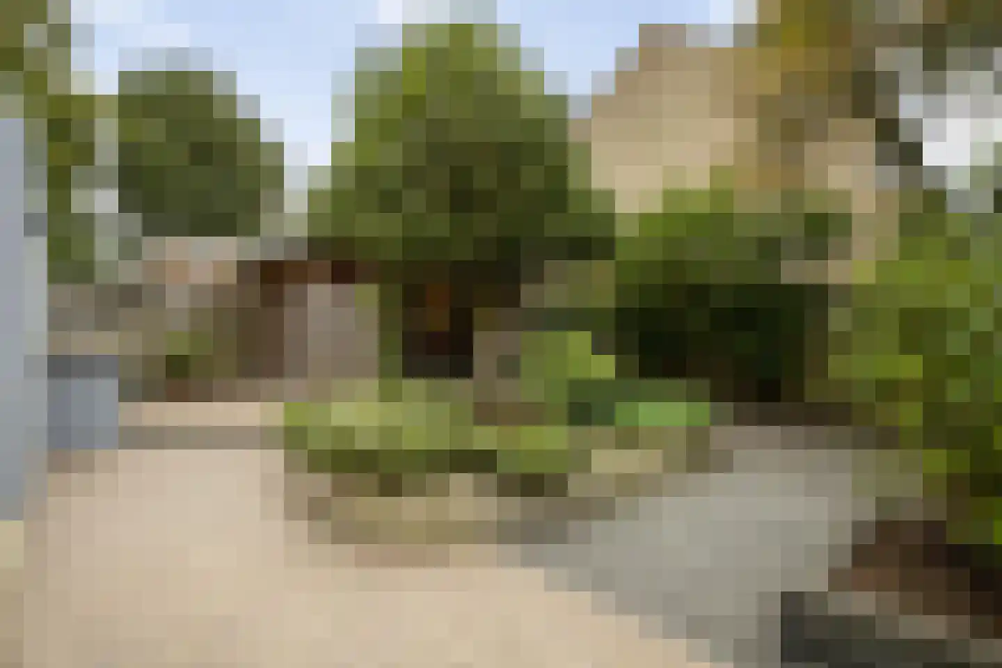 Akelei 113 Kampen thumbnail 34