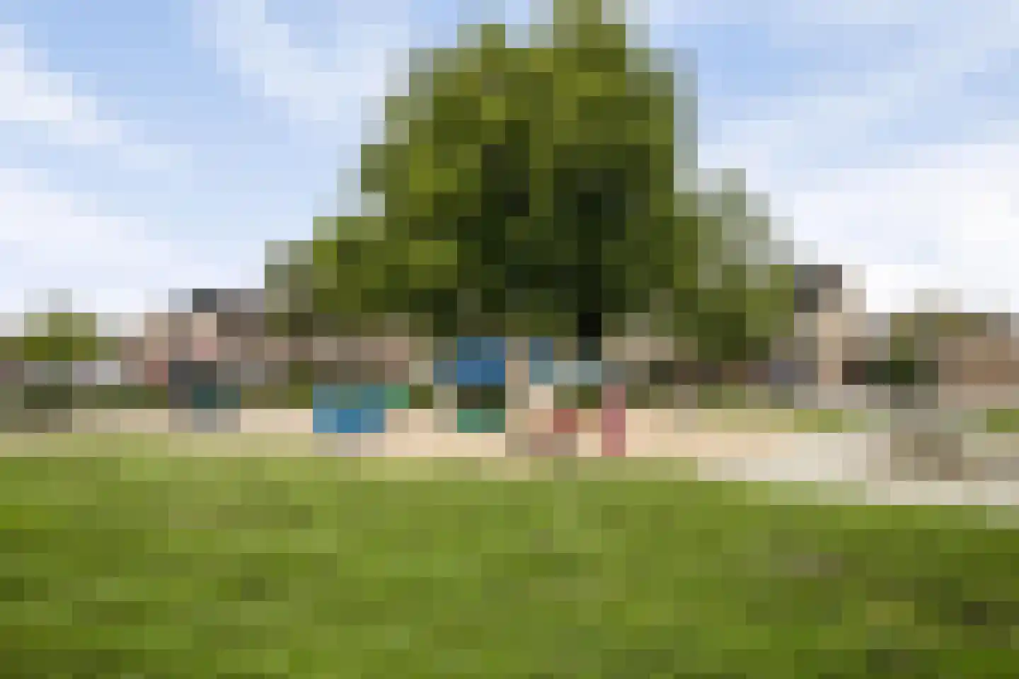 Akelei 113 Kampen thumbnail 47