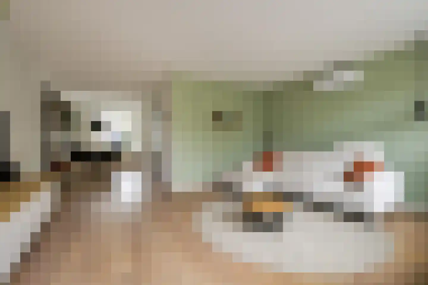 Akelei 113 Kampen thumbnail 5