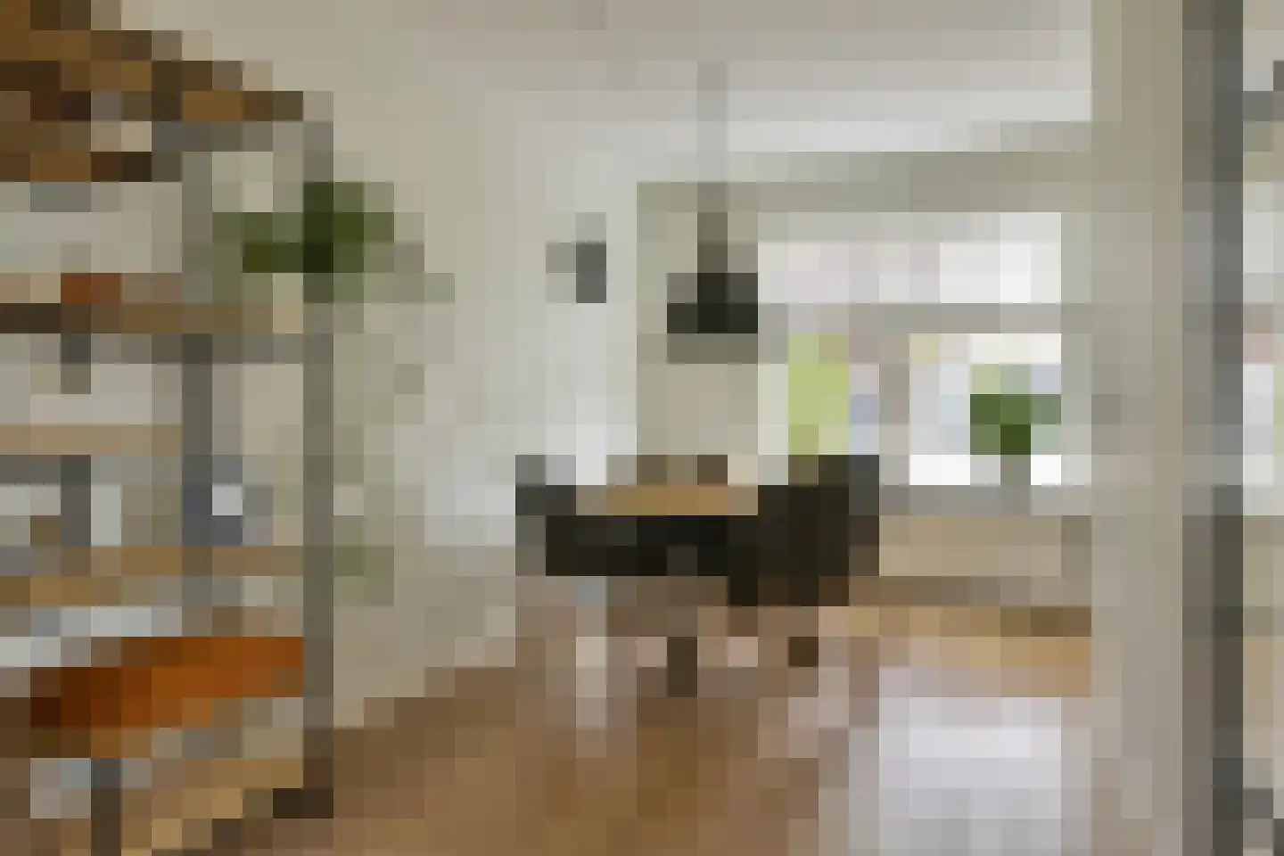 Akelei 113 Kampen thumbnail 8