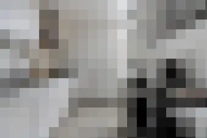 Akelei 114 Venray thumbnail 10