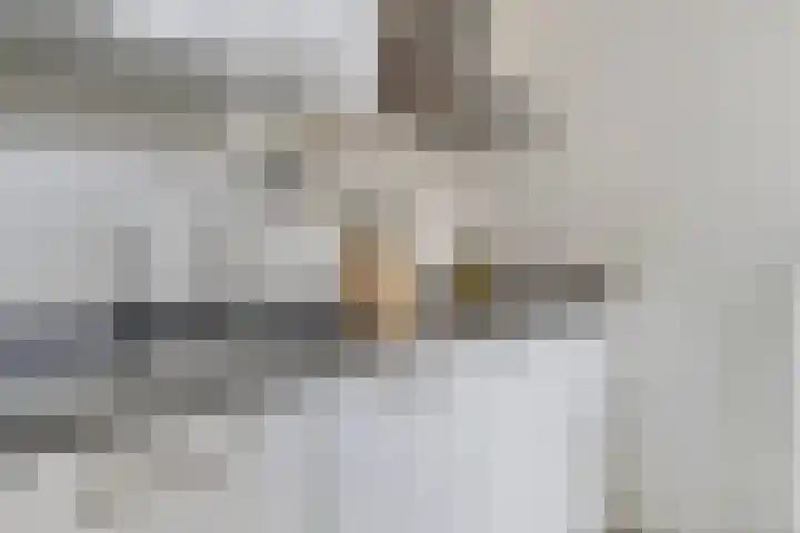 Akelei 114 Venray thumbnail 11