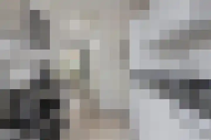 Akelei 114 Venray thumbnail 12