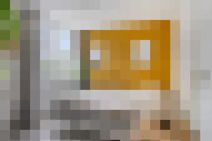 Akelei 114 Venray thumbnail 16