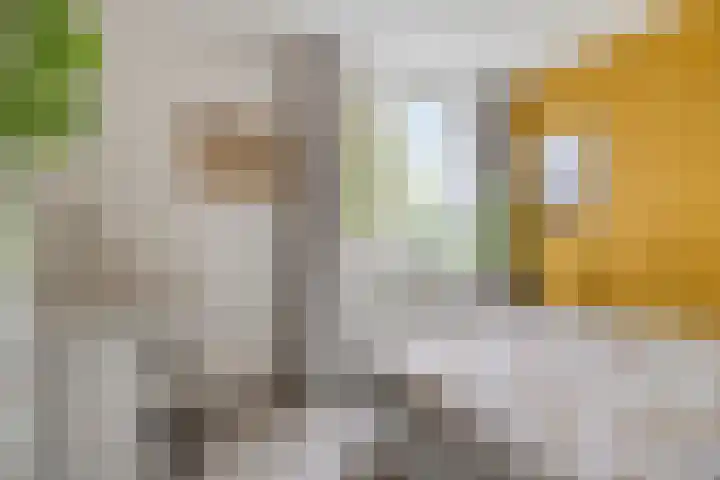 Akelei 114 Venray thumbnail 17