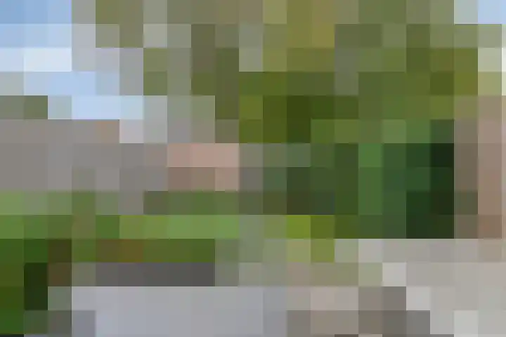 Akelei 114 Venray thumbnail 22