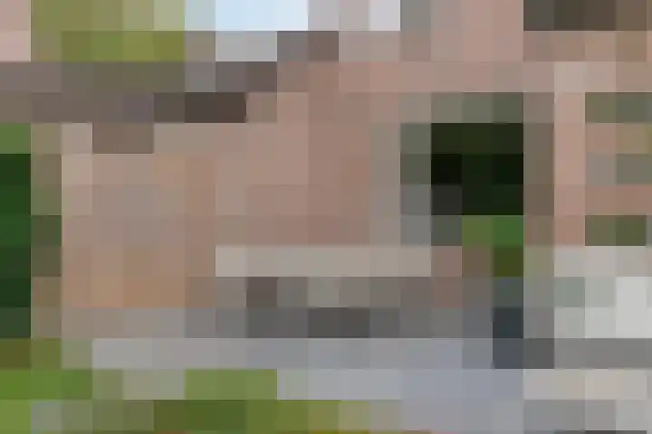 Akelei 114 Venray thumbnail 24