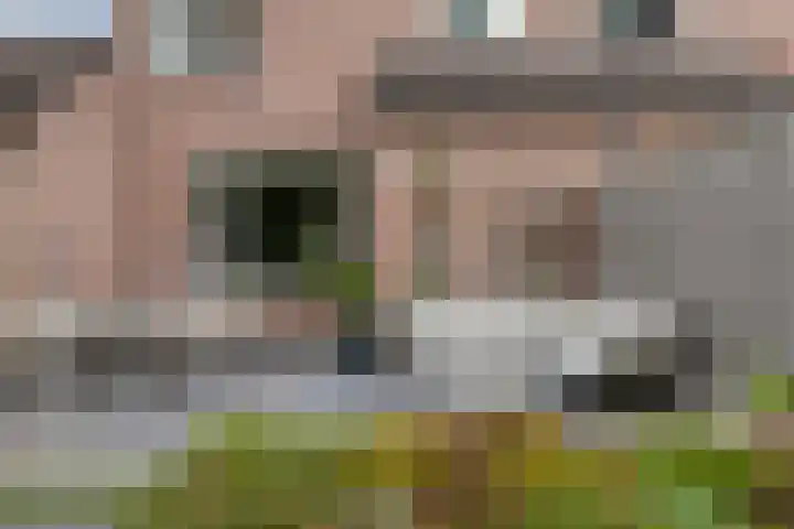 Akelei 114 Venray thumbnail 25