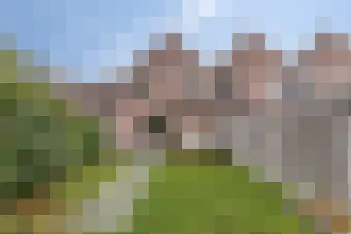Akelei 114 Venray thumbnail 27